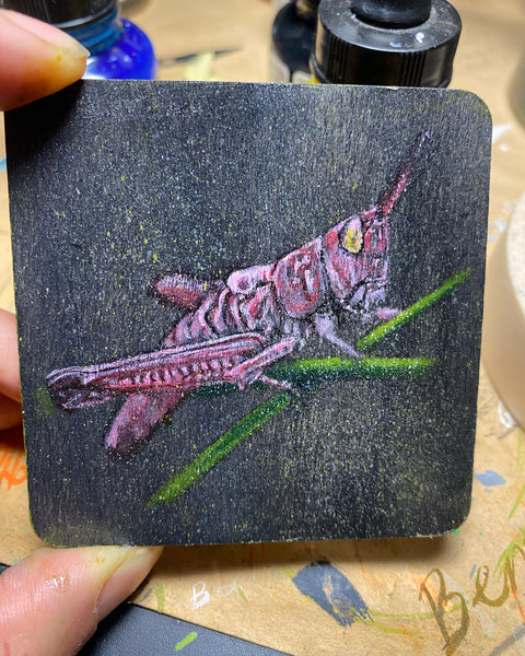 Mini Pink Grasshopper
