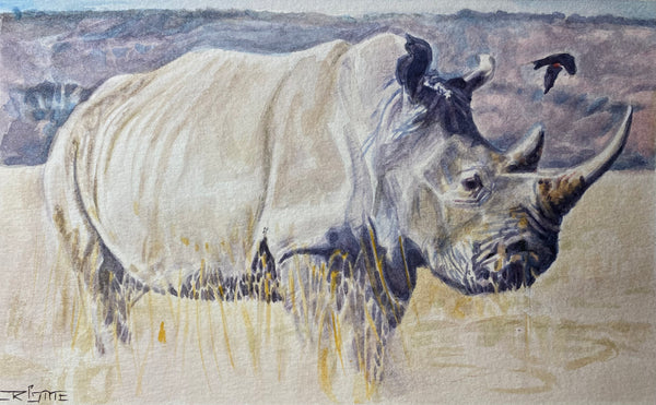 Rhinoceros Watercolor (Original)