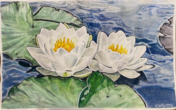 Water Lilies