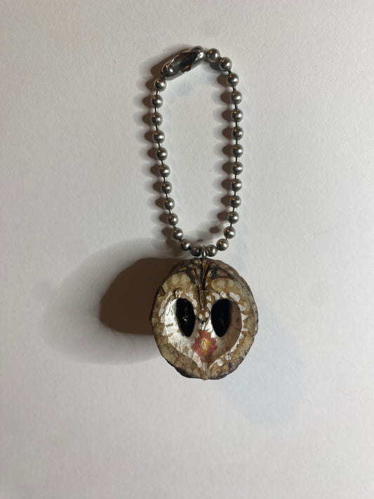 Owl Illustrated Black Walnut Seed