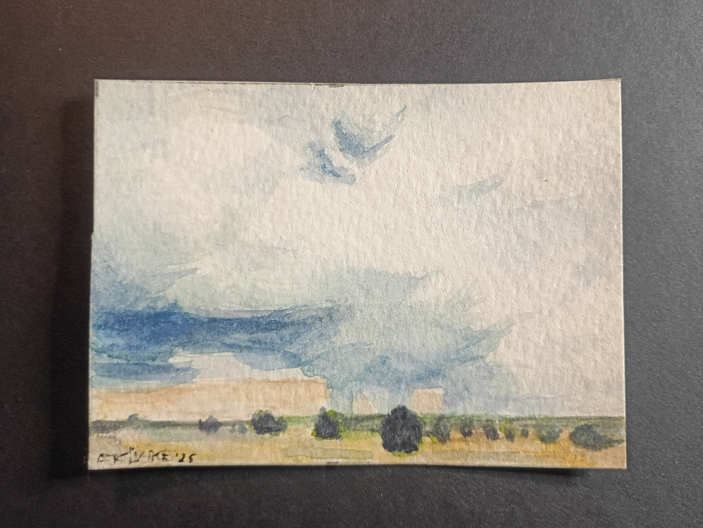 Miniature Landscapes
