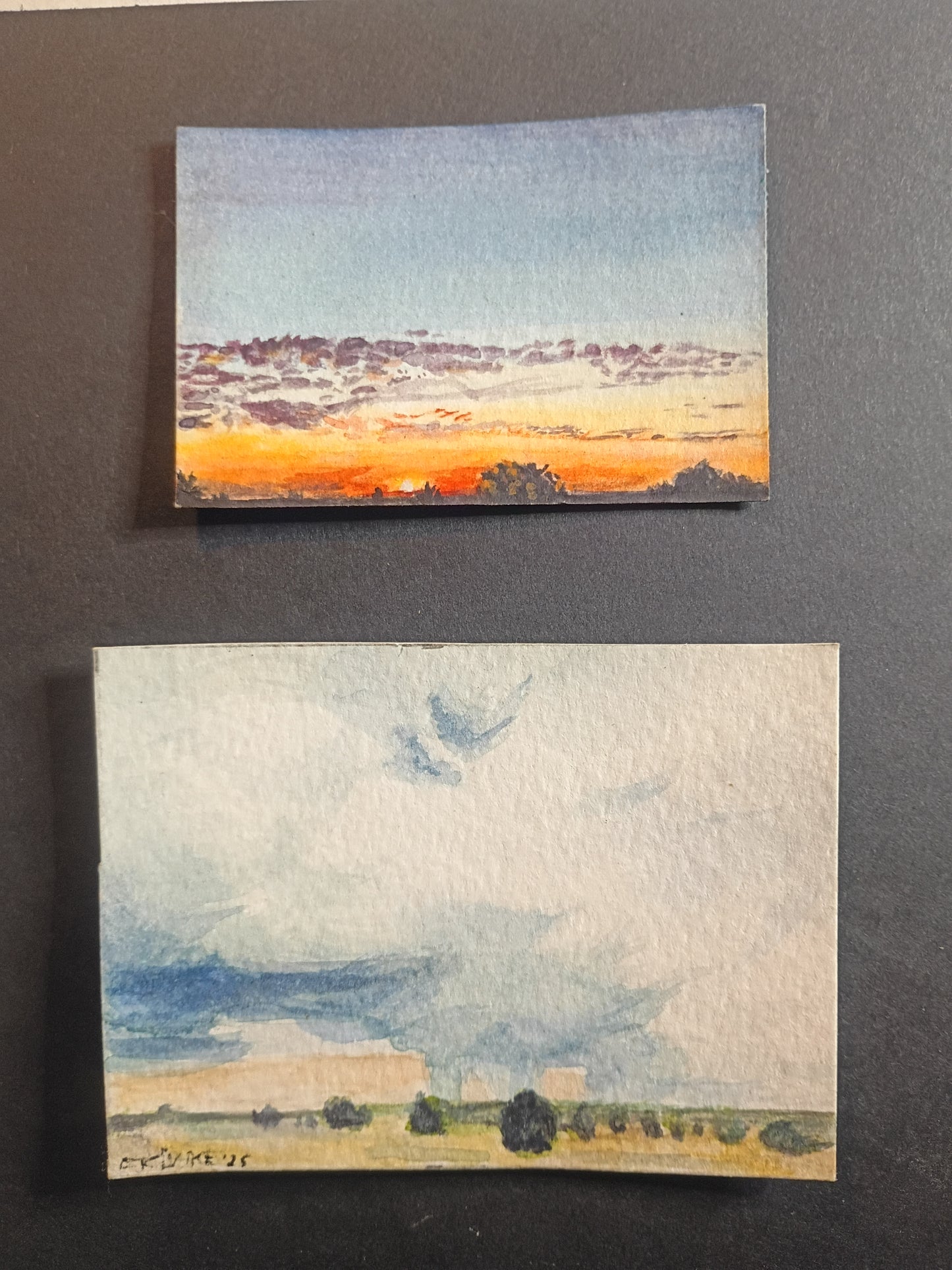 Miniature Landscapes