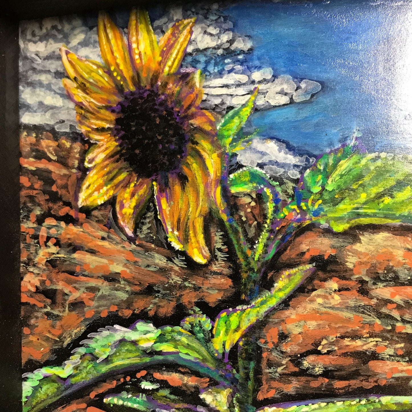 Wild Sunflower