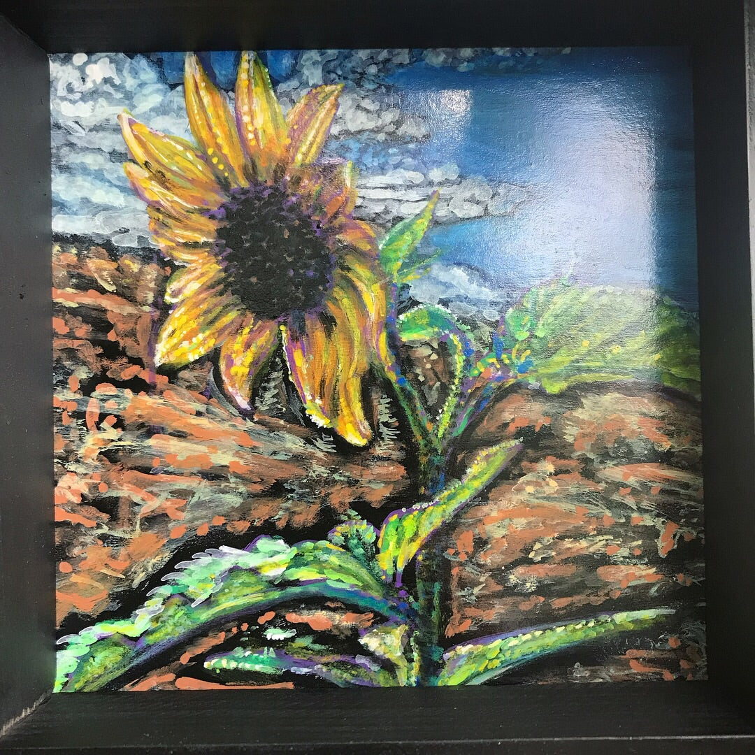 Wild Sunflower