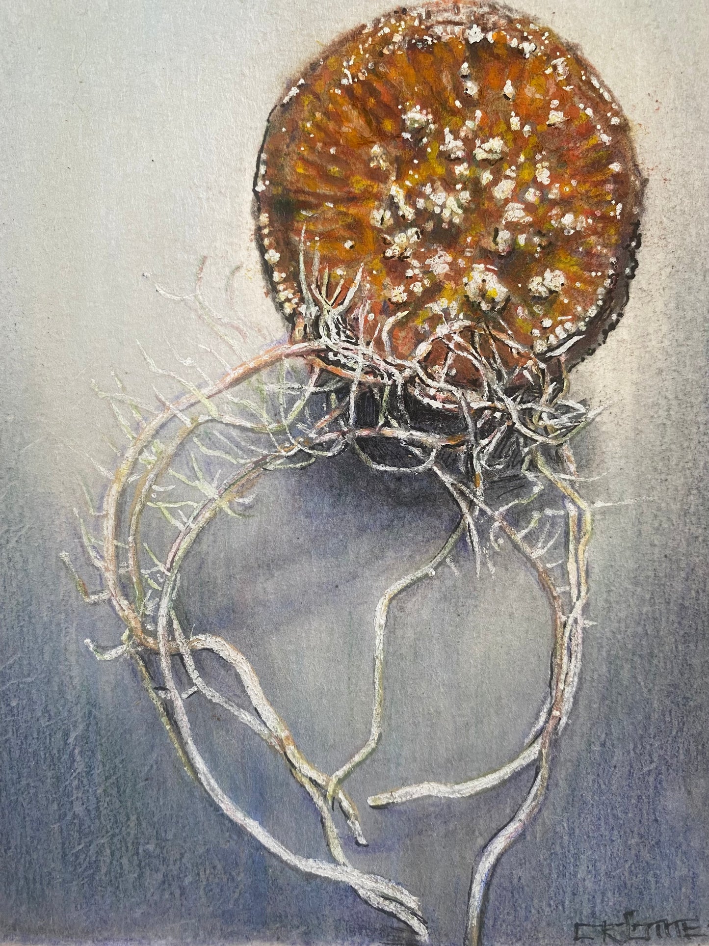 Sweet Potato Study I