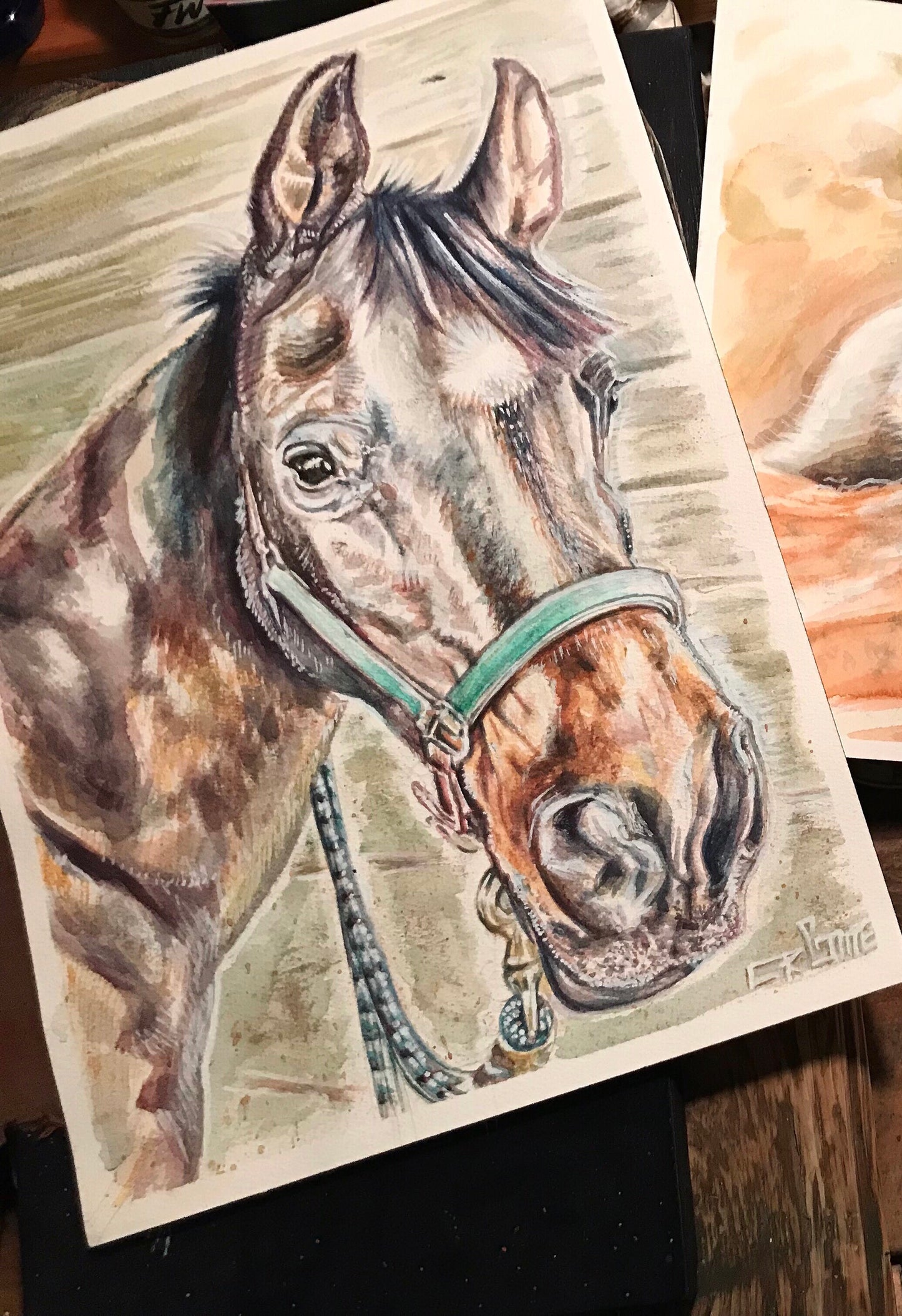 Horse Watercolor Study